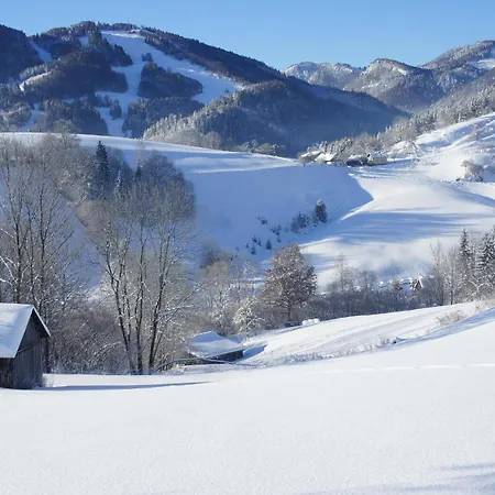Apartment Haus König