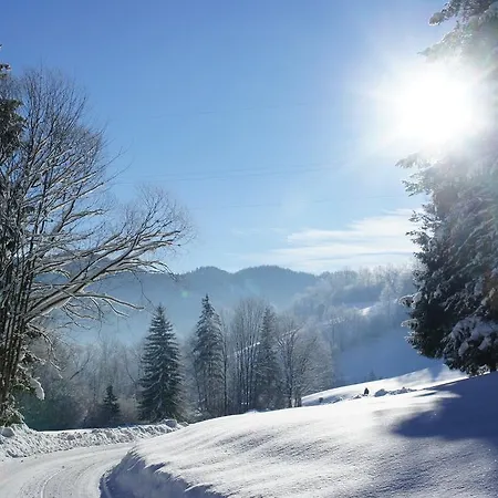 Apartament Haus Koenig Türnitz