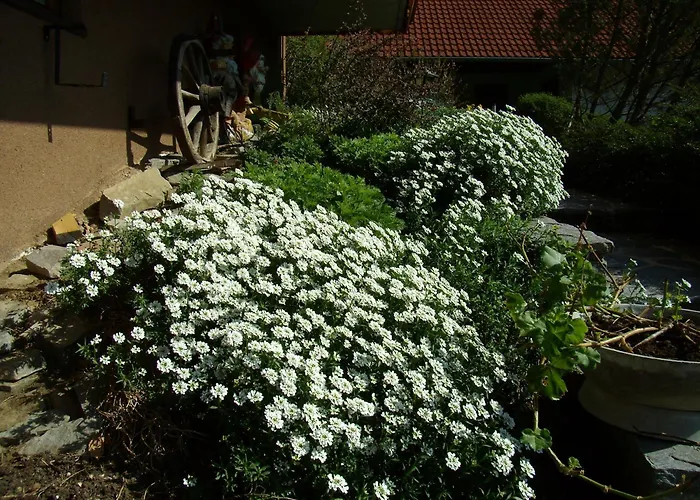 Haus König Apartment Türnitz