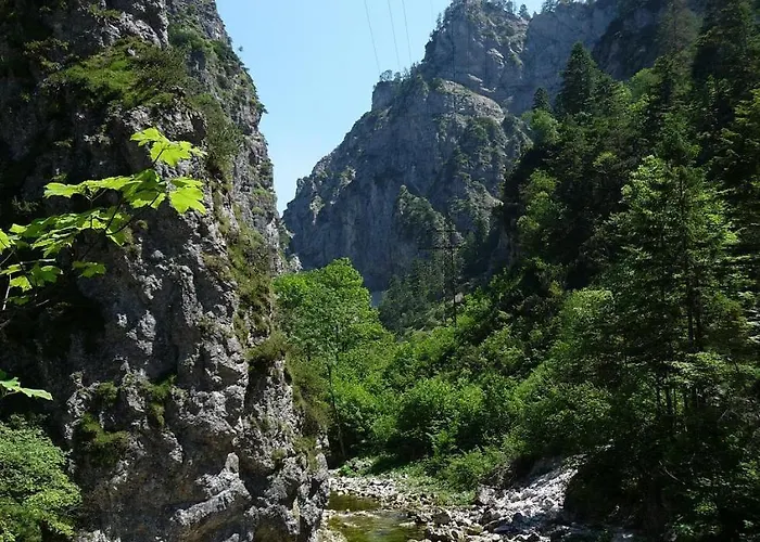 Haus Koenig Lägenhet