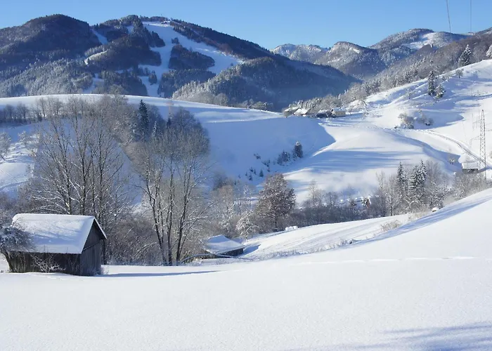 Apartment Haus König