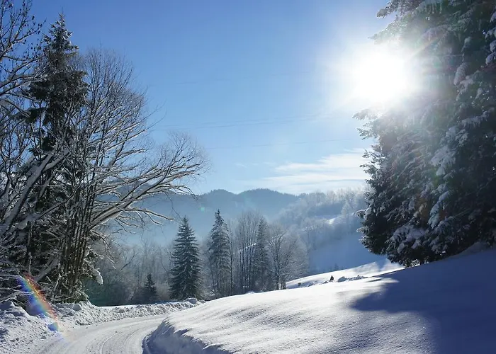 Lägenhet Haus Koenig Türnitz